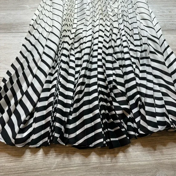 ANTHROPOLOGIE  EVA FRANCO Pleated Skirt Black & White Size 6 - Picture 3 of 10